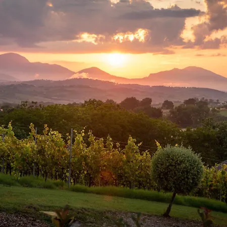 Casa Grimaldi & Restaurant Tre Stelle S فندق