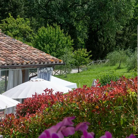 Casa Grimaldi & Restaurant Tre Stelle S
